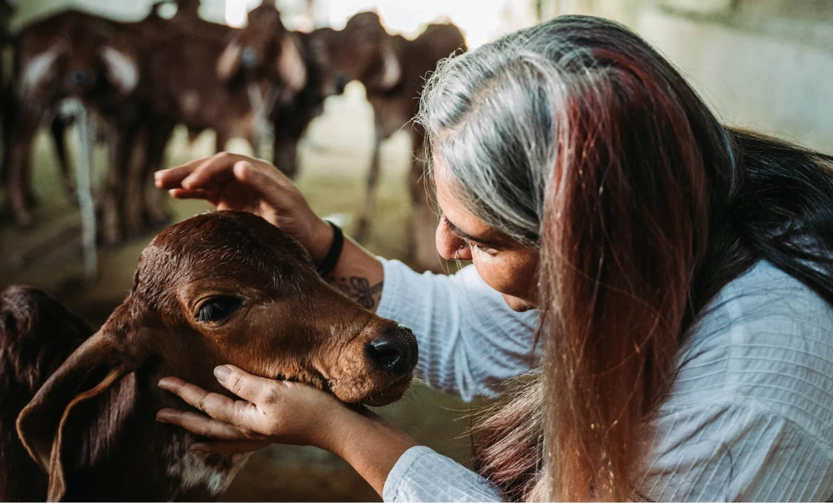 Meet the Multi-tasking Maven of Milk & Meadows