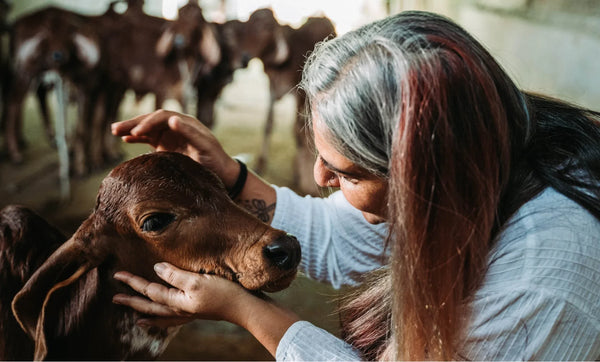 Meet the Multi-tasking Maven of Milk & Meadows